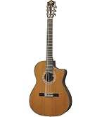 Amazon.co.jp: ヤマハ YAMAHA エレガットギター NTX700 幅広い音楽